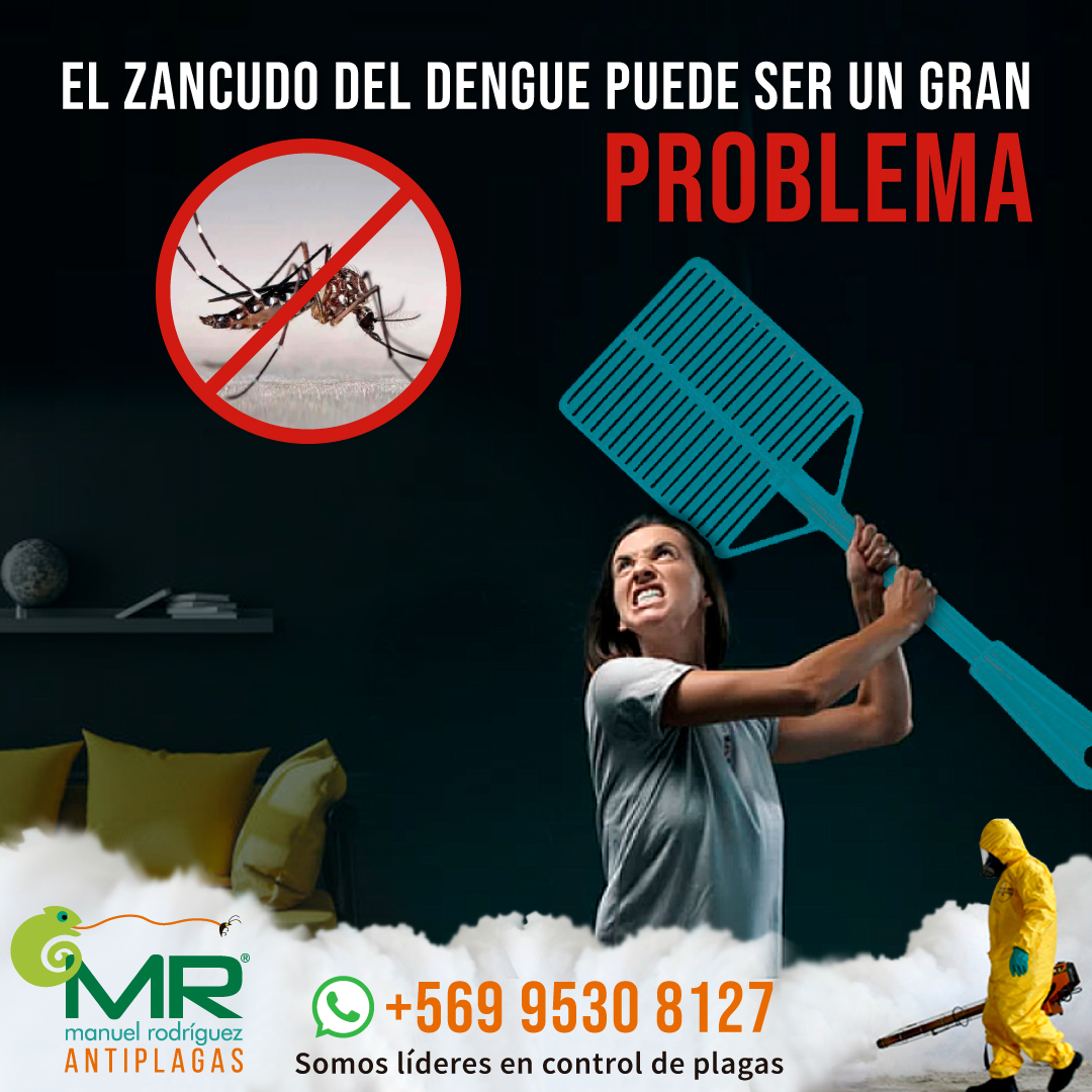 Publicidad