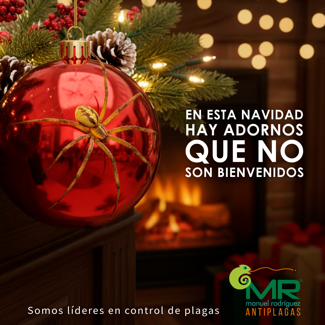 Publicidad