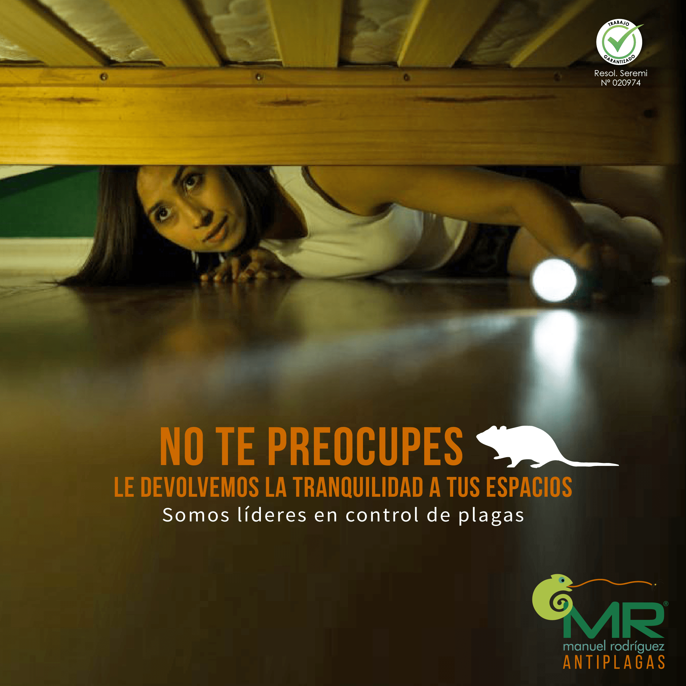 Publicidad